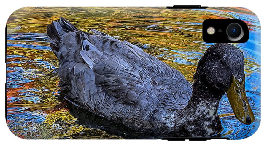 Duck in the pond  - Phone Case
