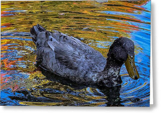 Duck in the pond  - Greeting Card