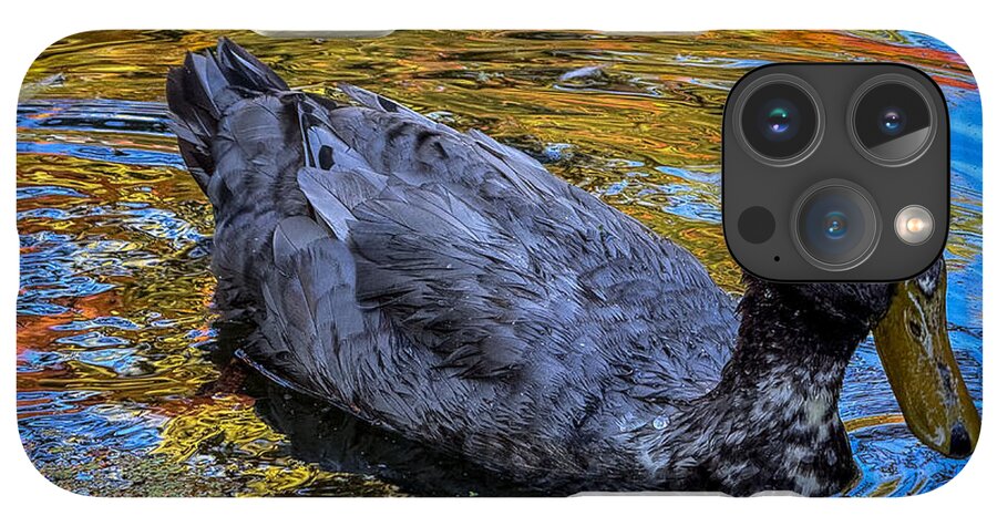 Duck in the pond  - Phone Case