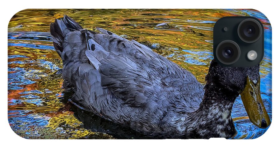 Duck in the pond  - Phone Case
