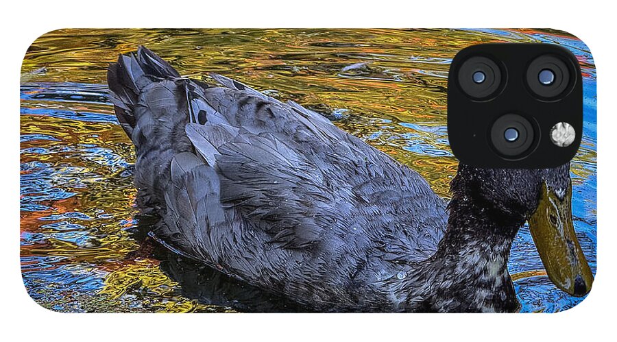 Duck in the pond  - Phone Case