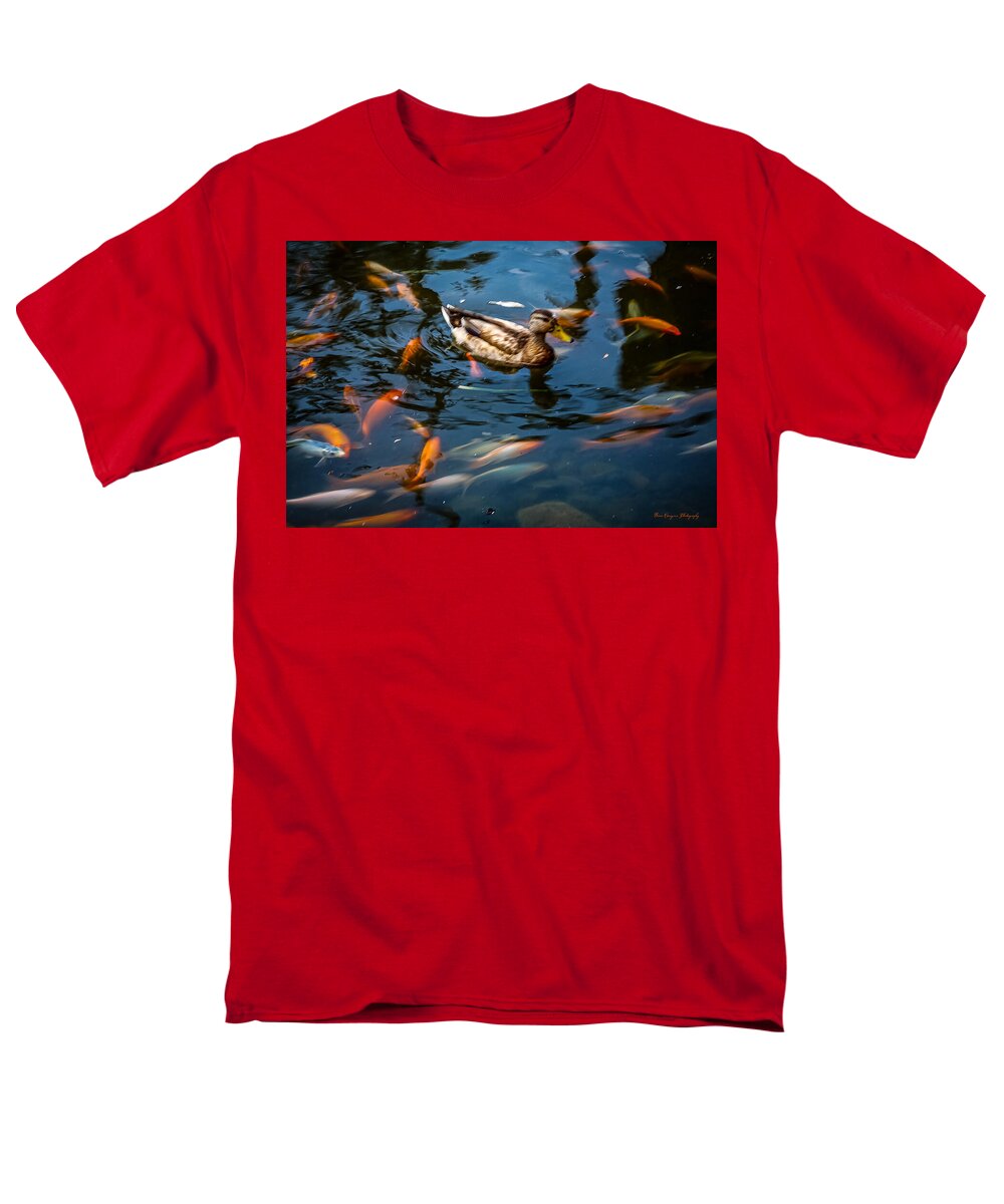 Duck with the koi - Men's T-Shirt  (Regular Fit)