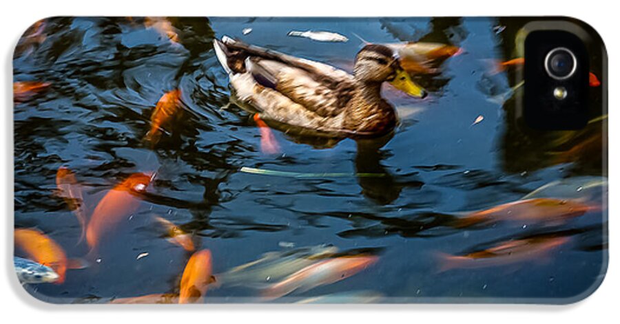 Duck with the koi - Phone Case