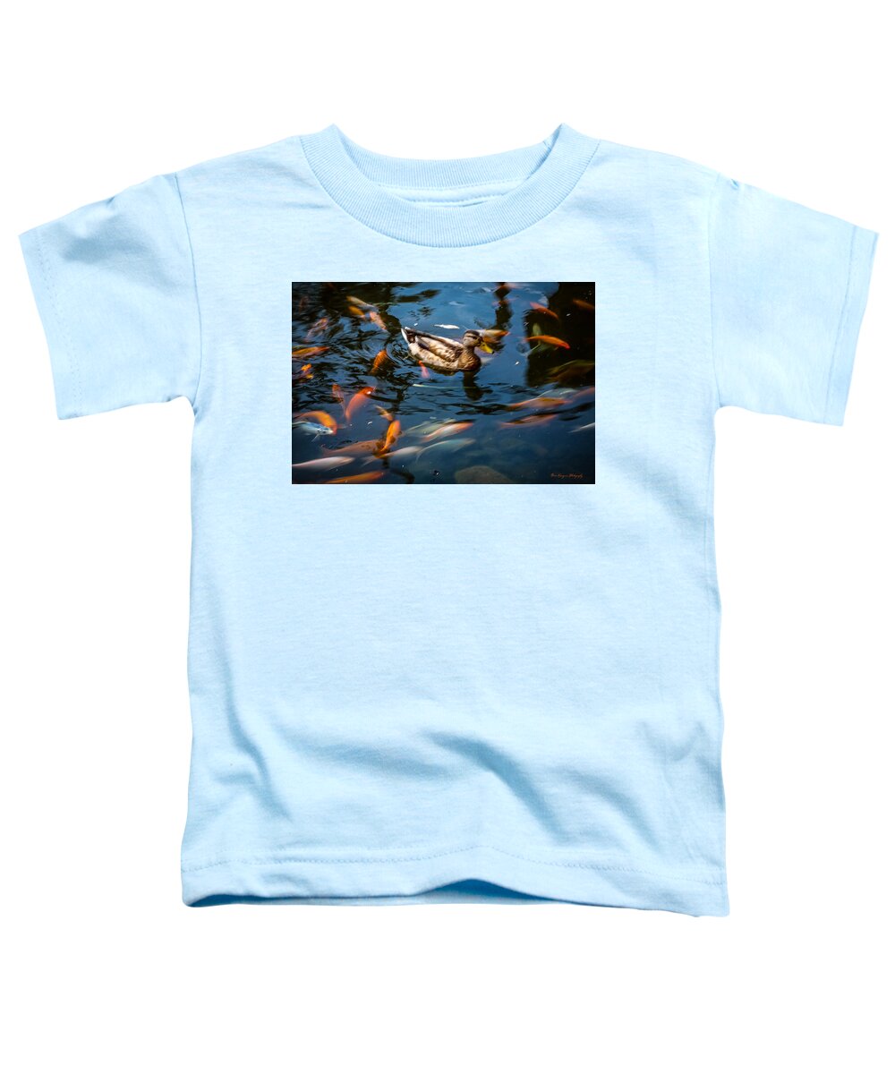 Duck with the koi - Toddler T-Shirt