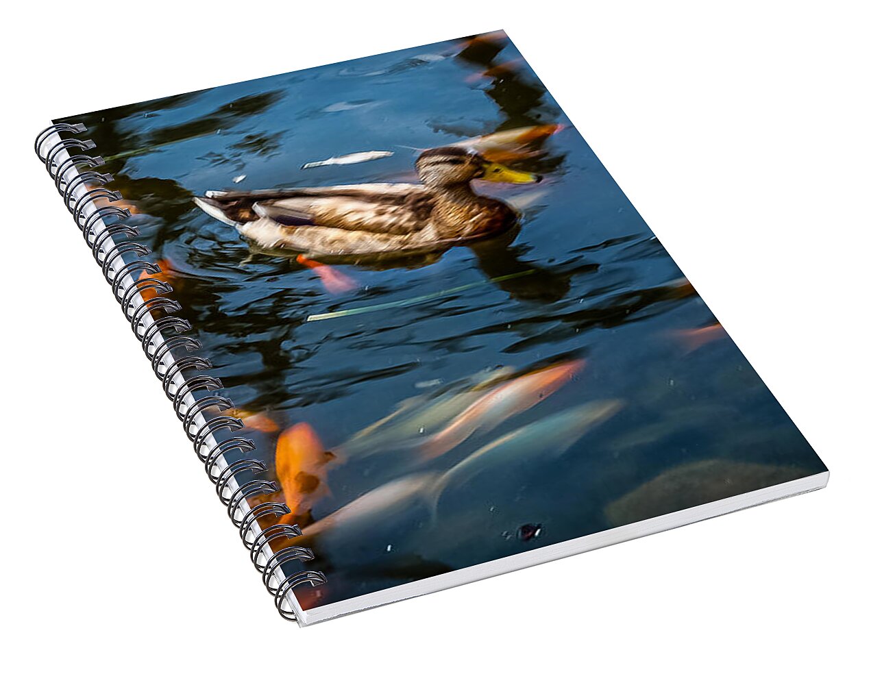 Duck with the koi - Spiral Notebook
