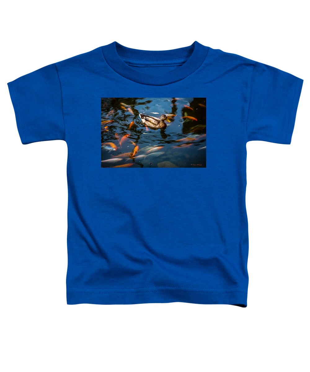 Duck with the koi - Toddler T-Shirt