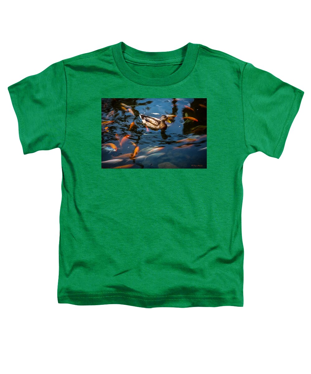 Duck with the koi - Toddler T-Shirt