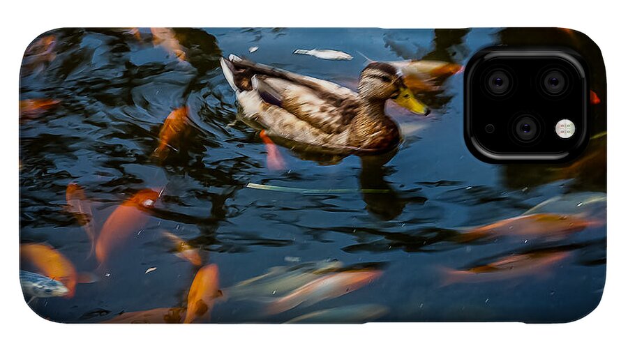 Duck with the koi - Phone Case