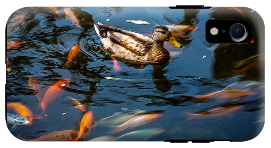 Duck with the koi - Phone Case