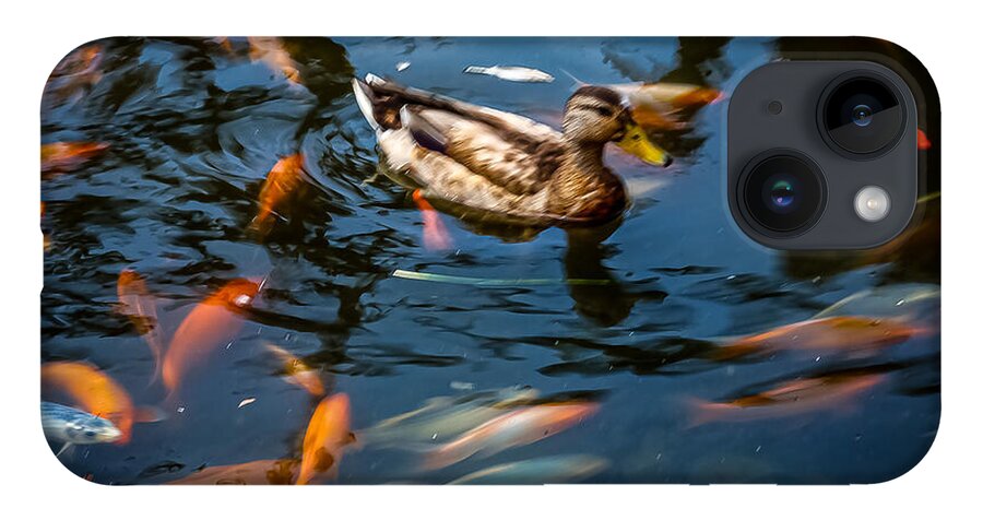 Duck with the koi - Phone Case