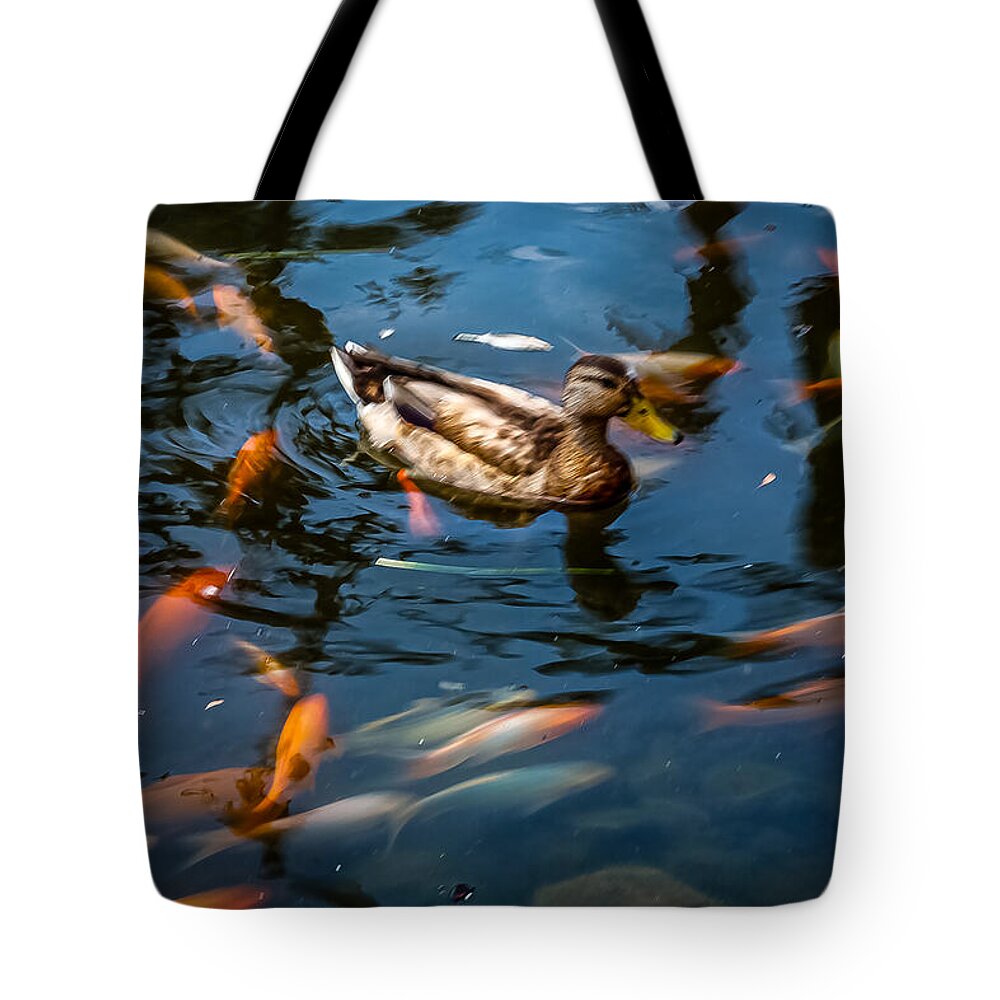 Duck with the koi - Tote Bag