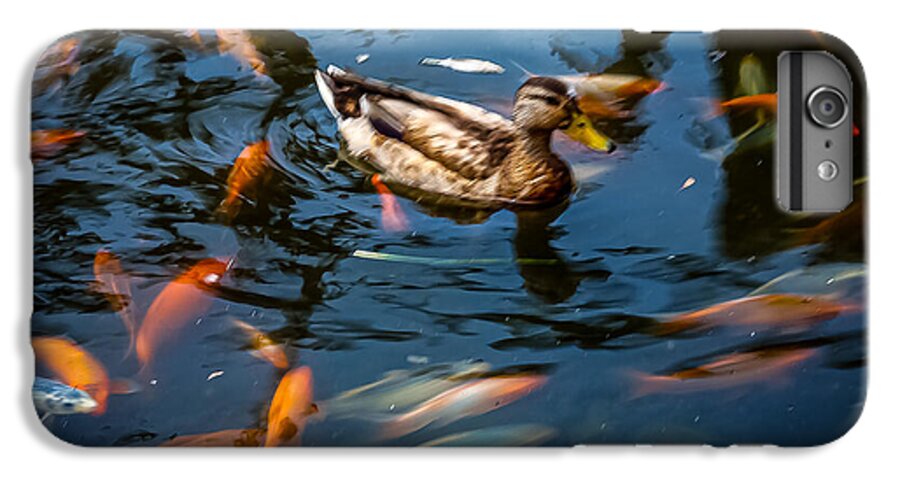 Duck with the koi - Phone Case