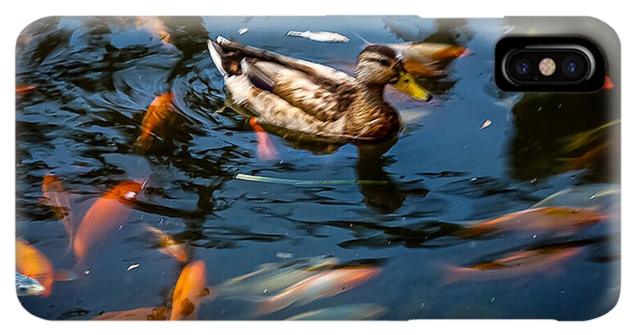 Duck with the koi - Phone Case