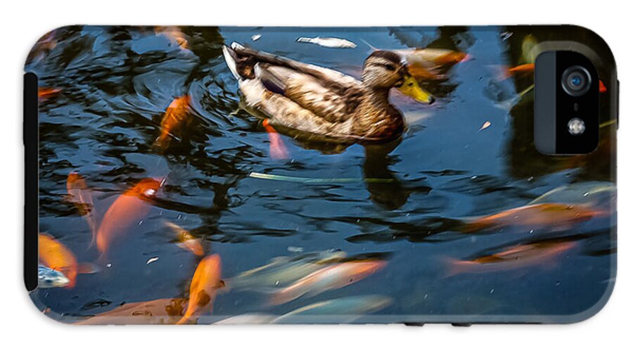 Duck with the koi - Phone Case