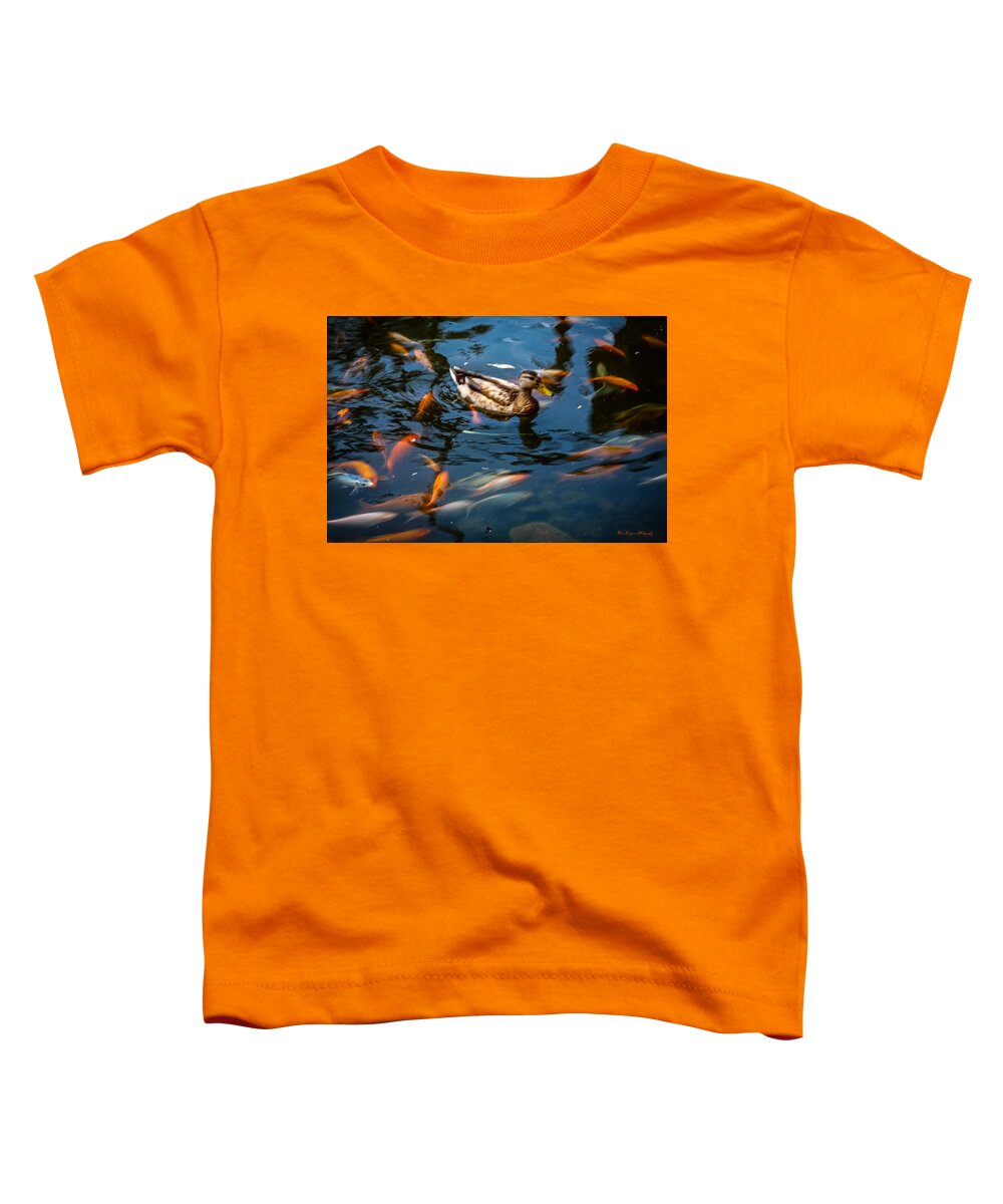 Duck with the koi - Toddler T-Shirt