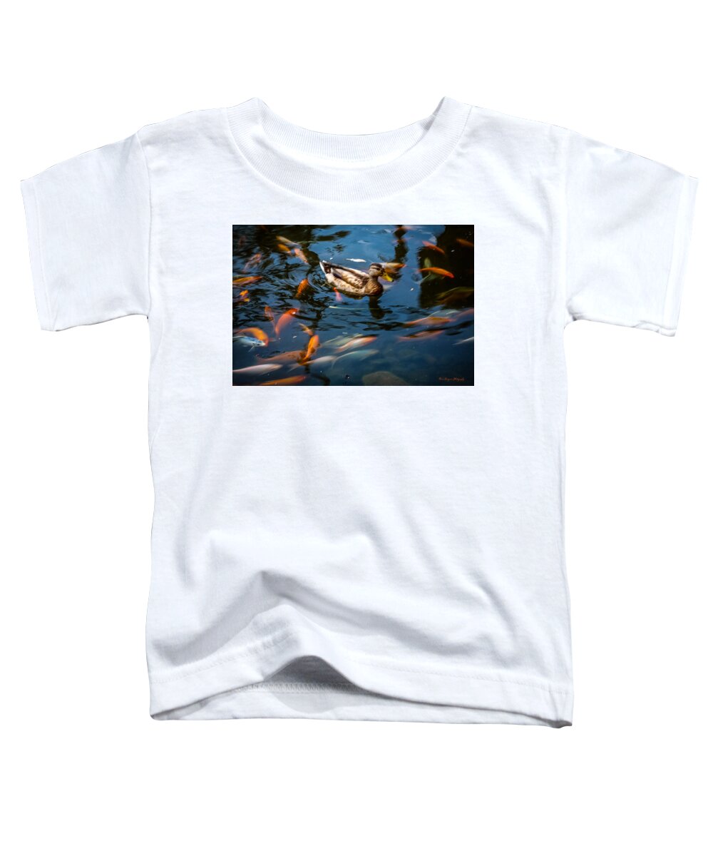 Duck with the koi - Toddler T-Shirt