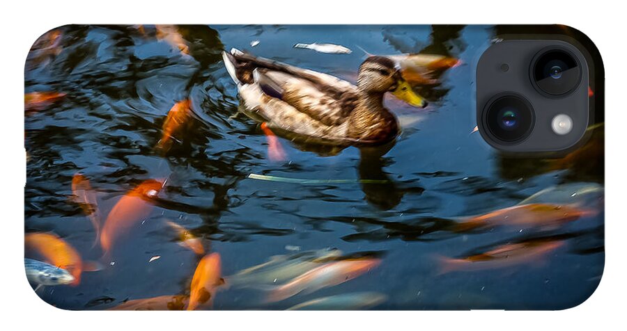 Duck with the koi - Phone Case