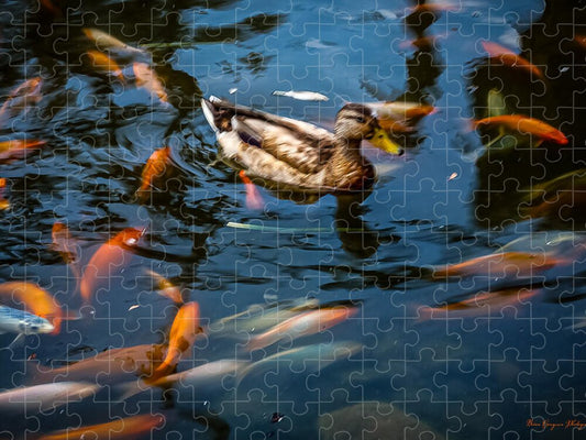 Duck with the koi - Puzzle
