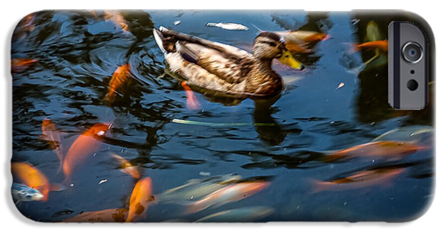 Duck with the koi - Phone Case