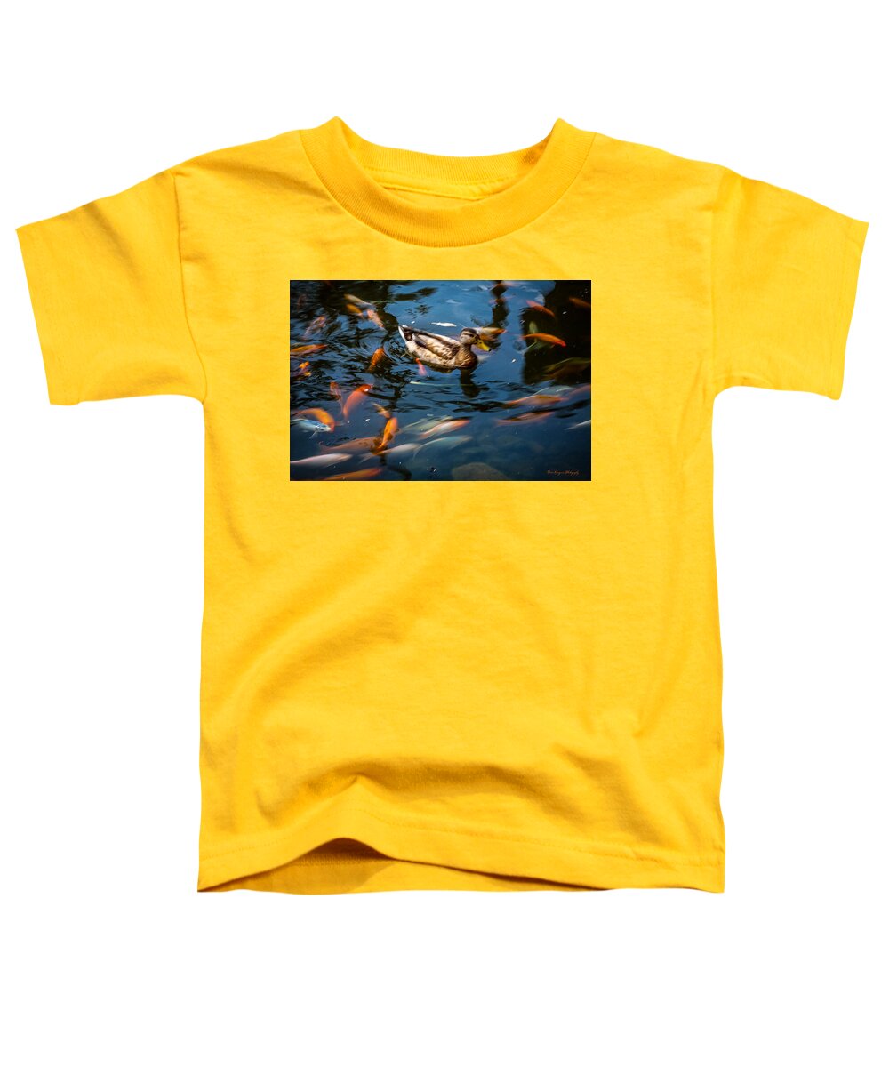 Duck with the koi - Toddler T-Shirt