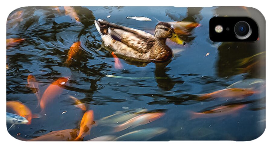 Duck with the koi - Phone Case