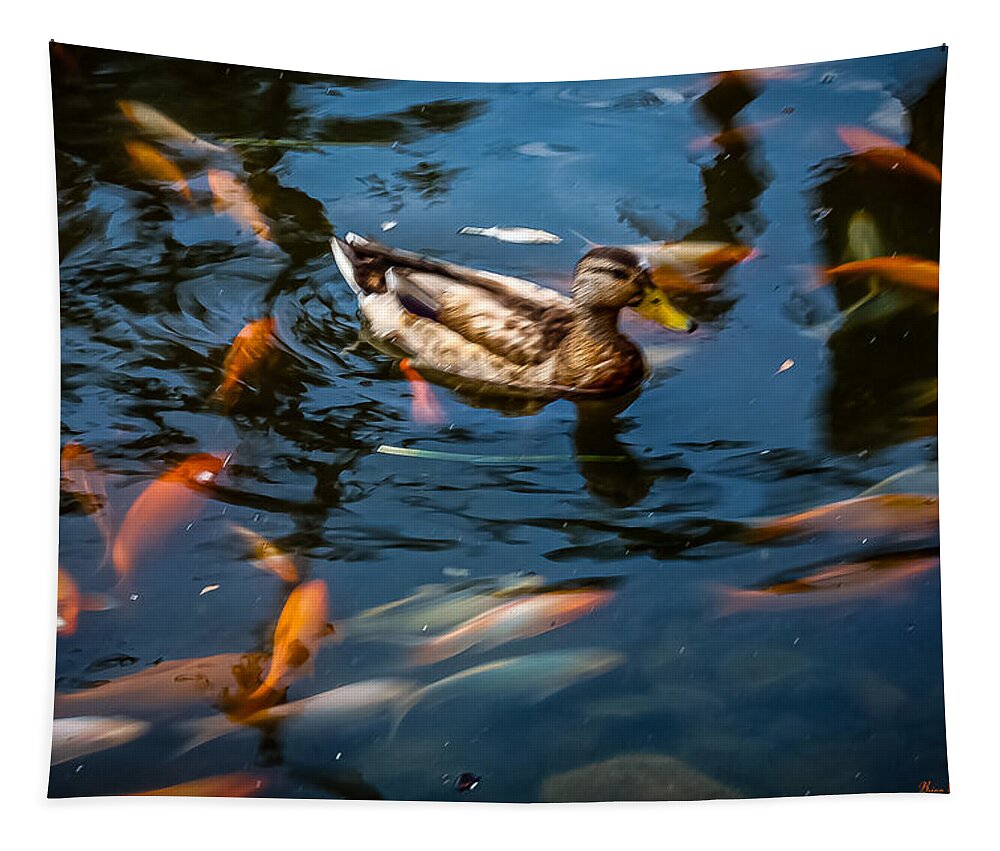 Duck with the koi - Tapestry