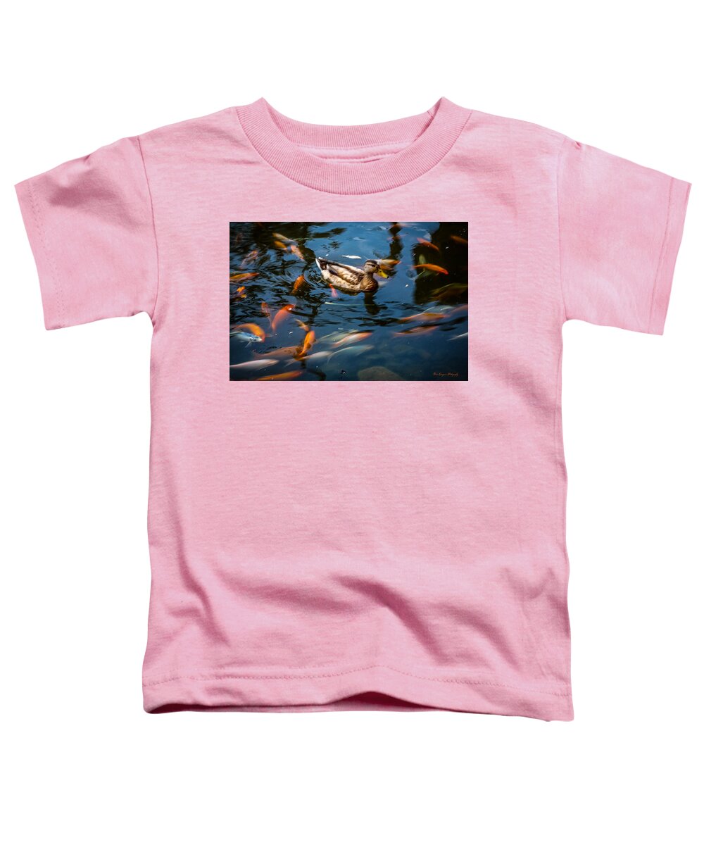 Duck with the koi - Toddler T-Shirt