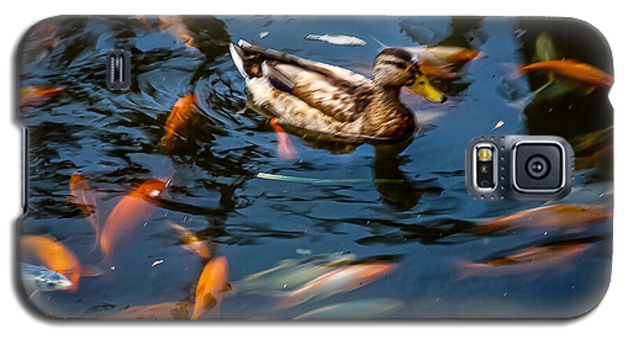 Duck with the koi - Phone Case