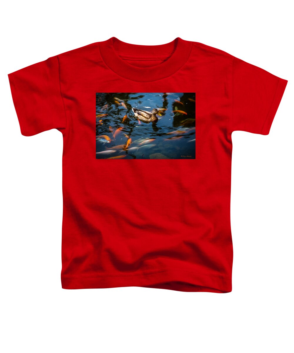 Duck with the koi - Toddler T-Shirt