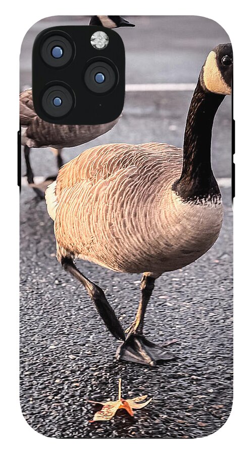Geese in the parking lot - Phone Case