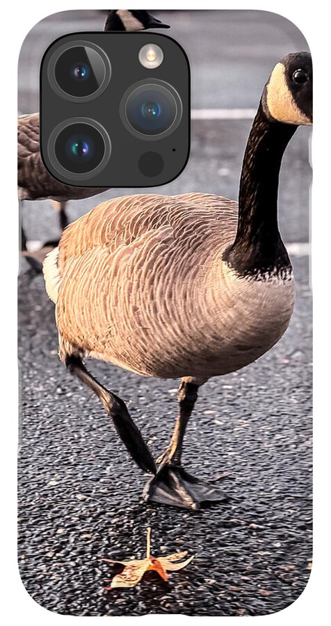 Geese in the parking lot - Phone Case