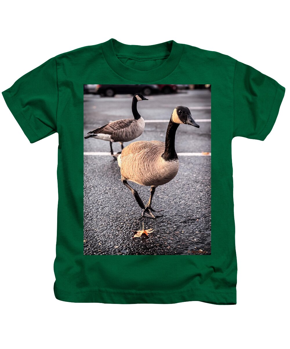 Geese in the parking lot - Kids T-Shirt
