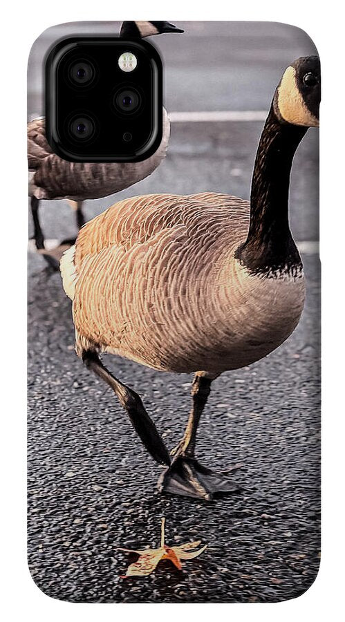 Geese in the parking lot - Phone Case