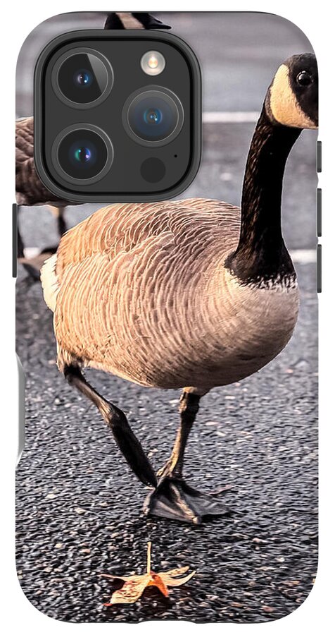 Geese in the parking lot - Phone Case