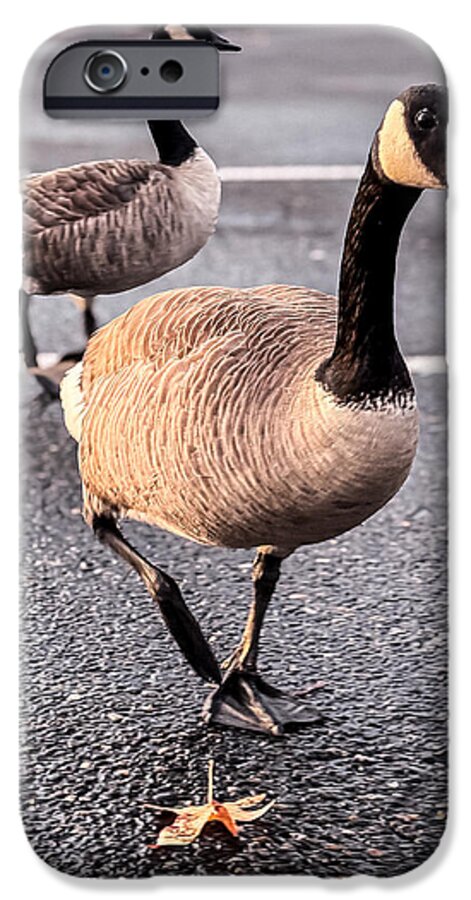 Geese in the parking lot - Phone Case