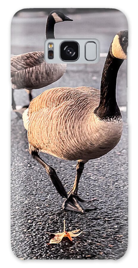 Geese in the parking lot - Phone Case