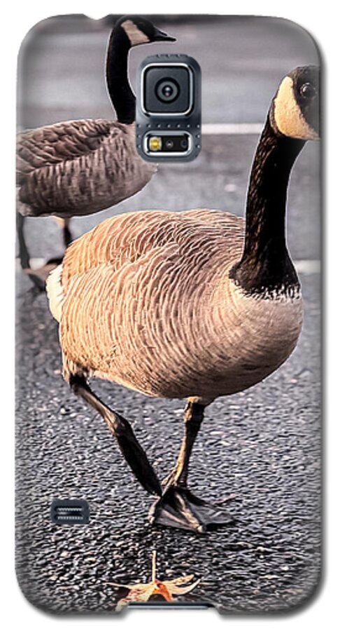 Geese in the parking lot - Phone Case