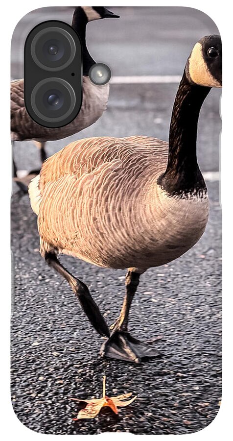 Geese in the parking lot - Phone Case