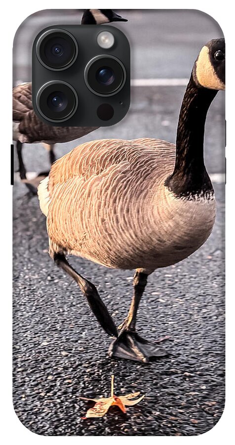 Geese in the parking lot - Phone Case
