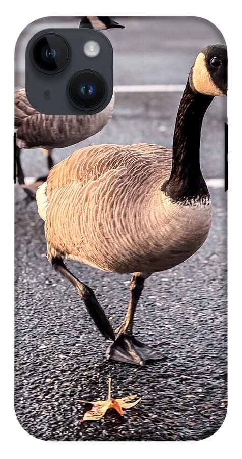 Geese in the parking lot - Phone Case