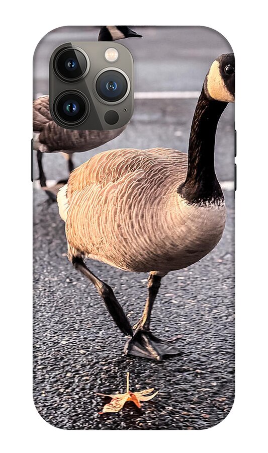 Geese in the parking lot - Phone Case