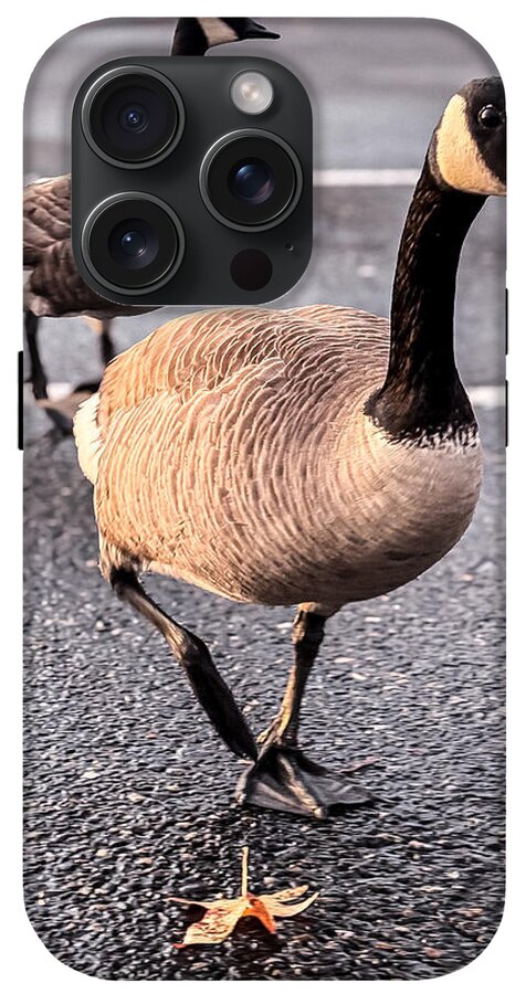 Geese in the parking lot - Phone Case