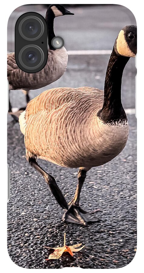 Geese in the parking lot - Phone Case
