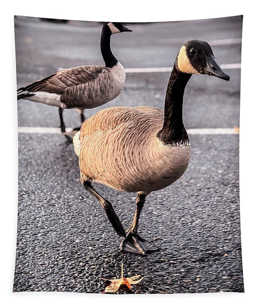 Geese in the parking lot - Tapestry