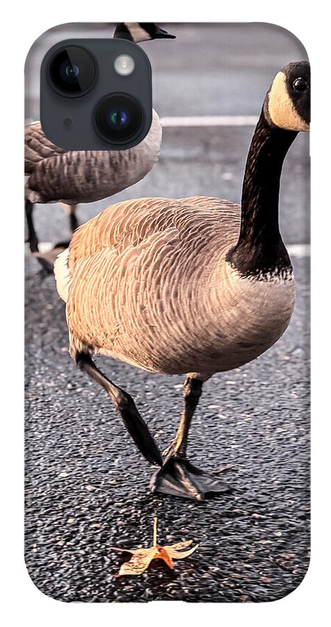 Geese in the parking lot - Phone Case