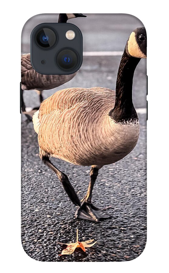 Geese in the parking lot - Phone Case