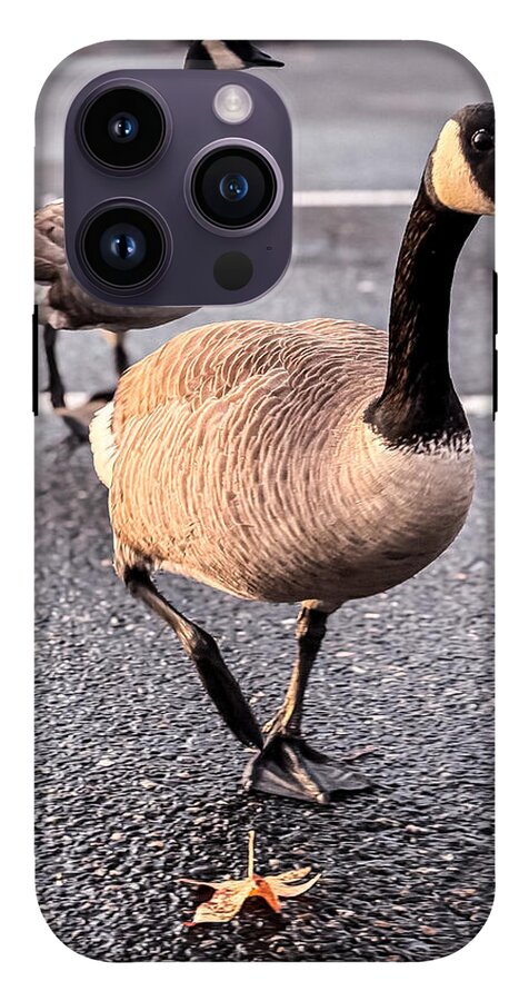 Geese in the parking lot - Phone Case