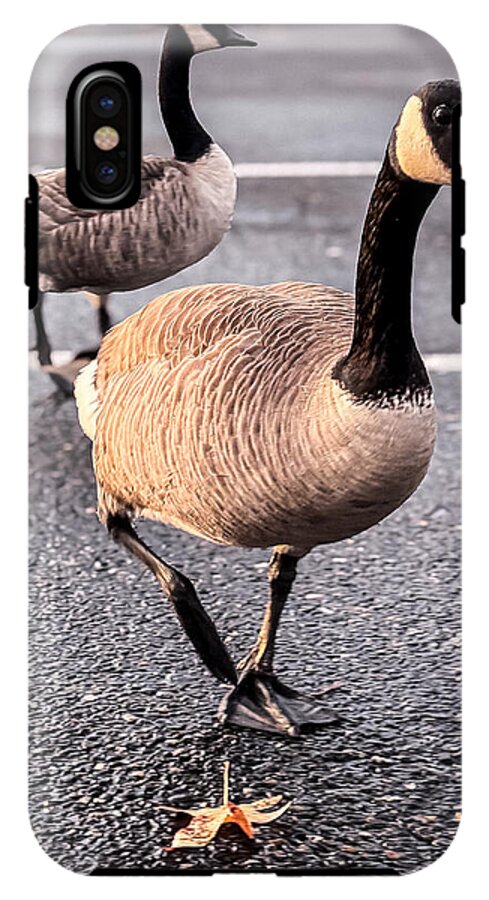 Geese in the parking lot - Phone Case