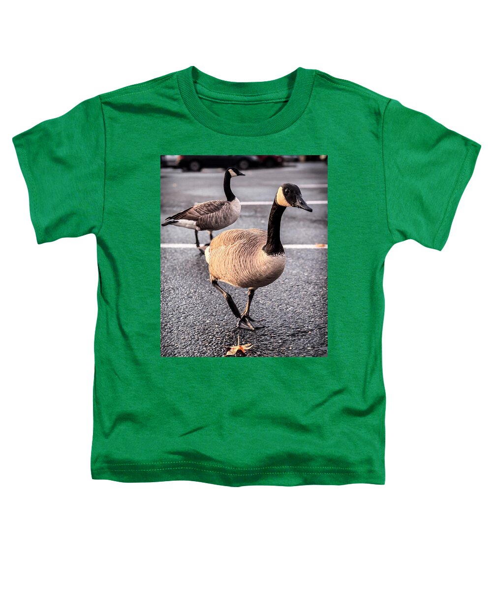 Geese in the parking lot - Toddler T-Shirt