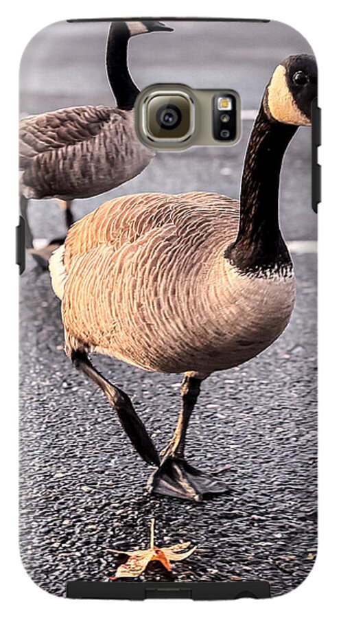 Geese in the parking lot - Phone Case